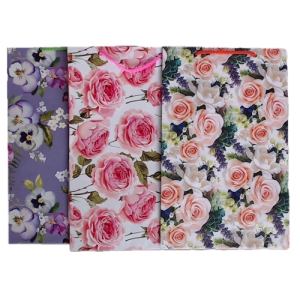 Maisiņi dāvanu 17x27x7cm(papīra)