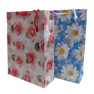 Maisiņi dāvanu 21x28x7cm(papīra)