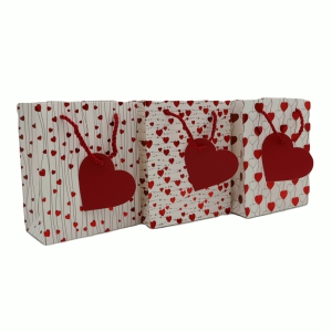 Maisiņi dāvanu 17x14x7cm(papīra)