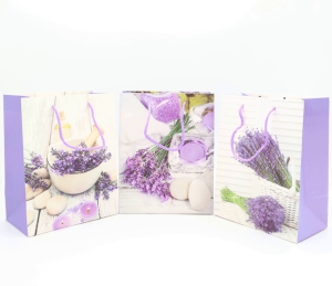 Maisiņi dāvanu 23x18x8.5cm(papīra)