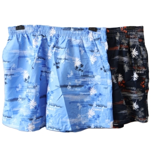 Peldšorti vīriešu  (L-4XL)