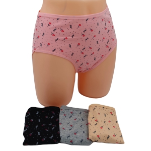 Biksītes sieviešu (XL; 2XL;3XL;4XL)