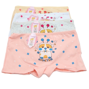 Biksītes meiteņu  (8-10; 11-13; 14-16)