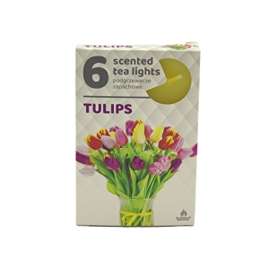 Tējas sveces 6.gab (Admit)Tulips