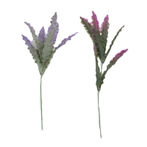 Zieds dekoratīvais Asplenium 35cm 1gb